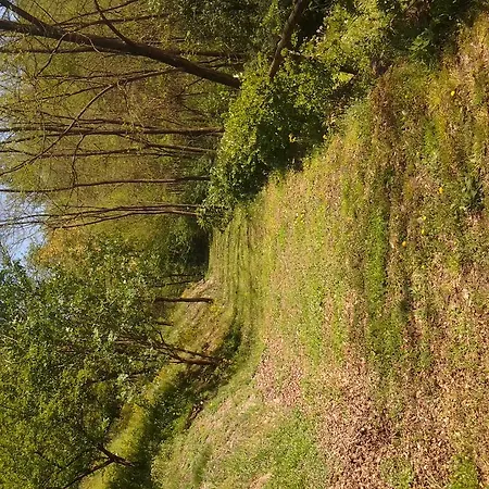 Borgo La Fratta